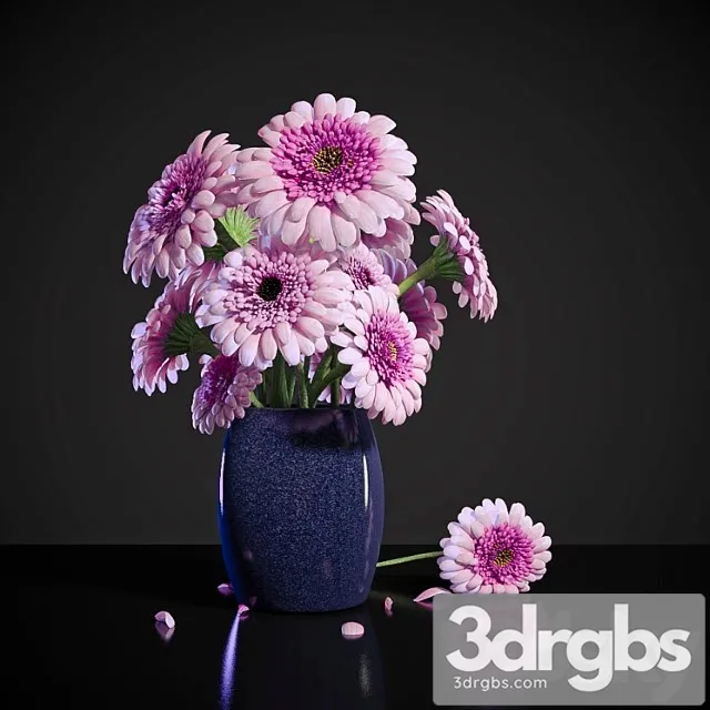 Pink Dew Gerbera 1 3D Model Free