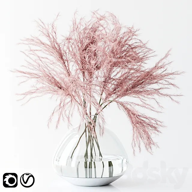 Pink pampas 3D Model
