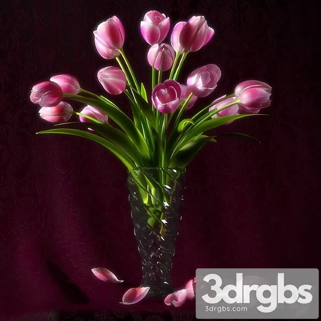 Pink Tulip 3D Model Free