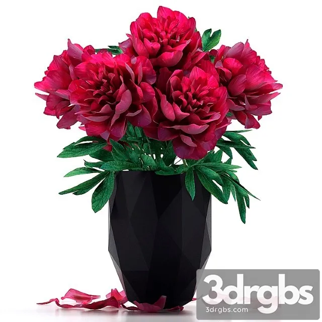 Piony 15 3D Model Free