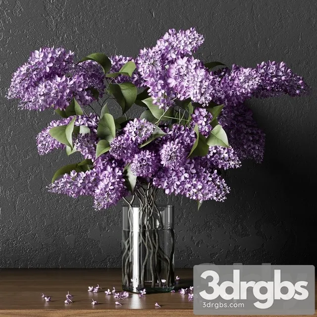 Plant 004 3D Model Free