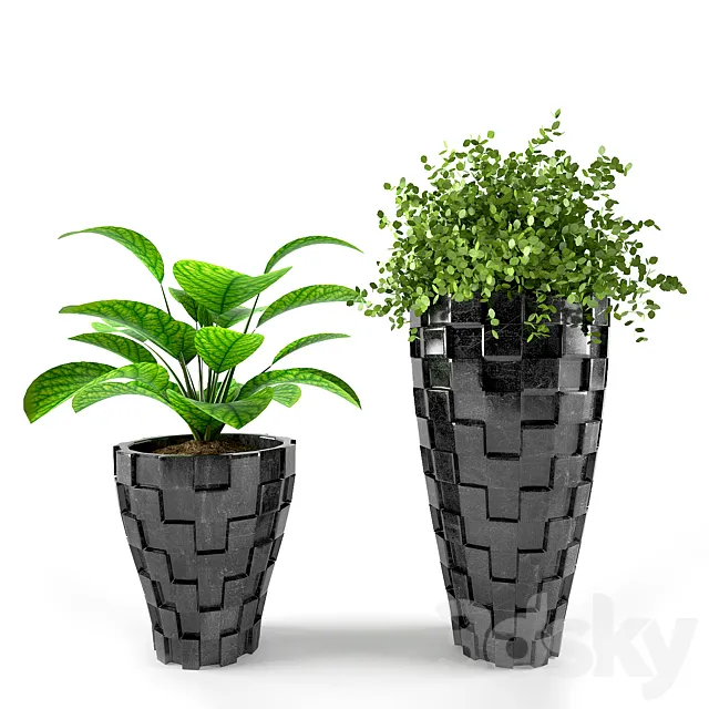 PLANT 02 3DModel