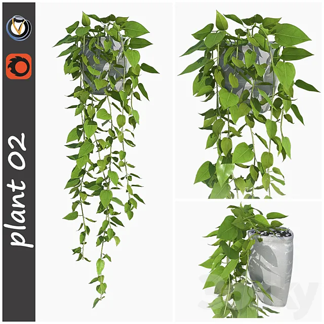 plant 02 3DModel