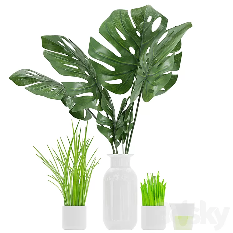 Plant 04 3D Model