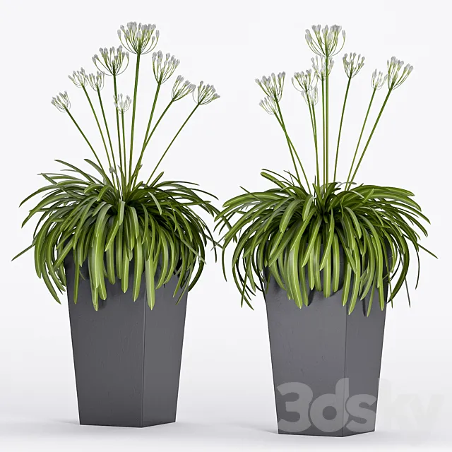 PLANT -16 3DModel