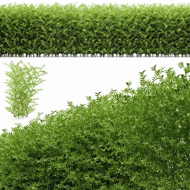 Plant 19 3D Model