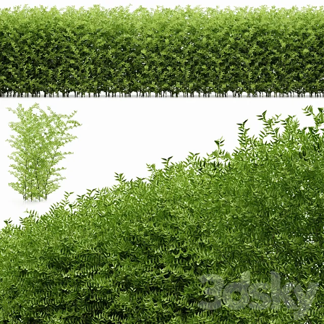 plant 19 3D Model