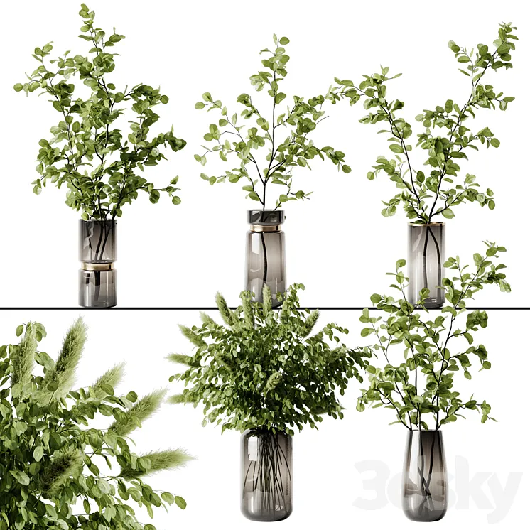 Plant 3 3D Model Free