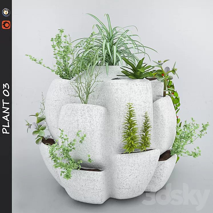 Plant 3 3D Model