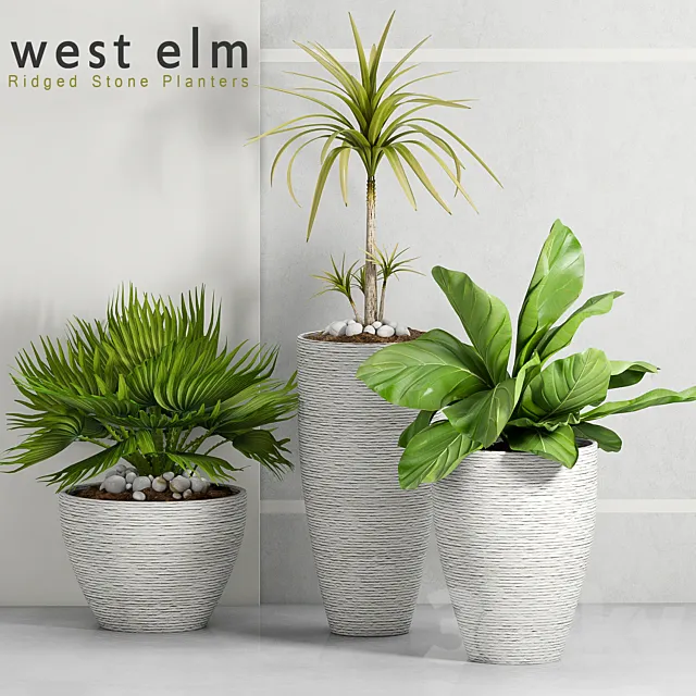PLANT -34 Free Download