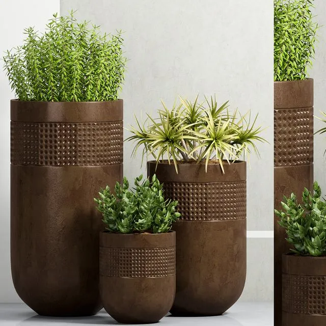 PLANT-38 3D Model