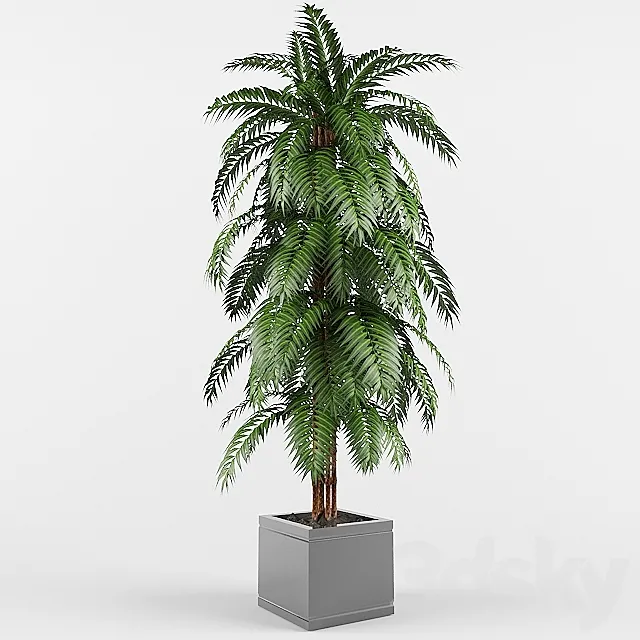plant 3D Model