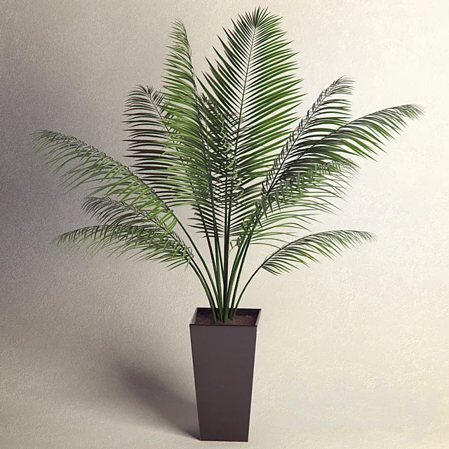 Plant 3D Model