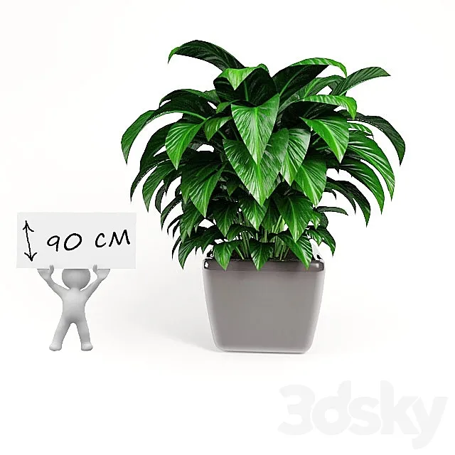 plant 3D Model