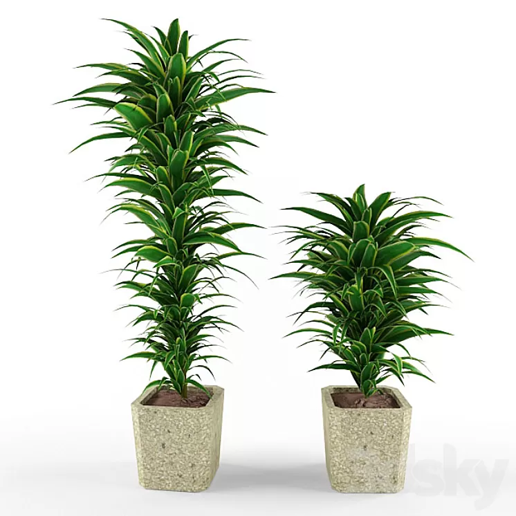 plant 3D Model
