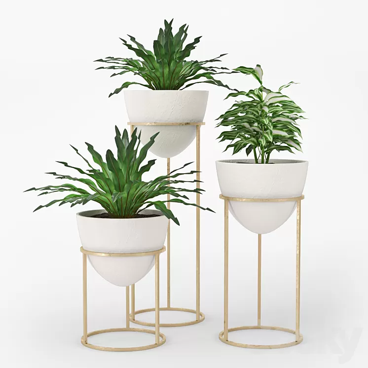 Plant 3D Model