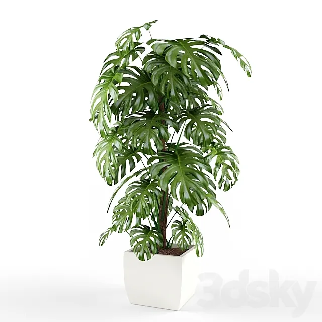 plant 3D Model