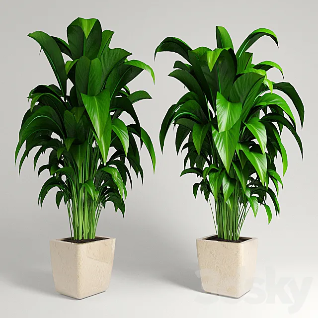plant 3D Model