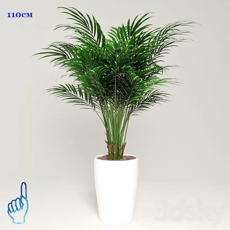 plant 3D Model