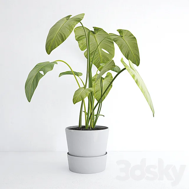 plant 3DModel