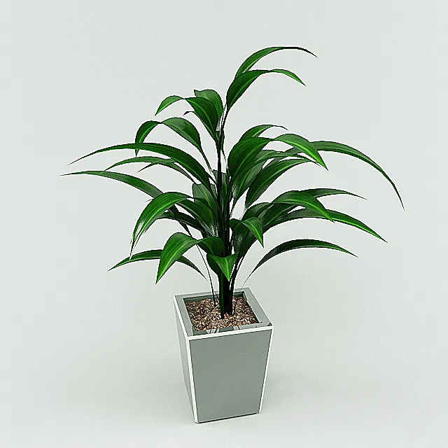 plant 3DModel