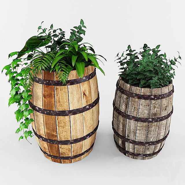 plant 3DModel