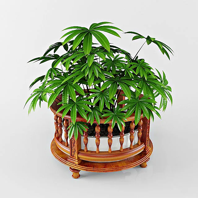 plant 3DModel