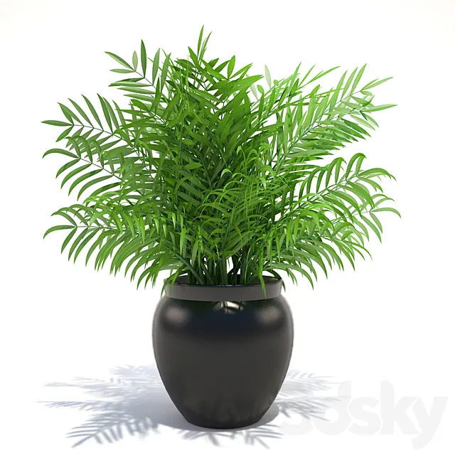 Plant 3DModel