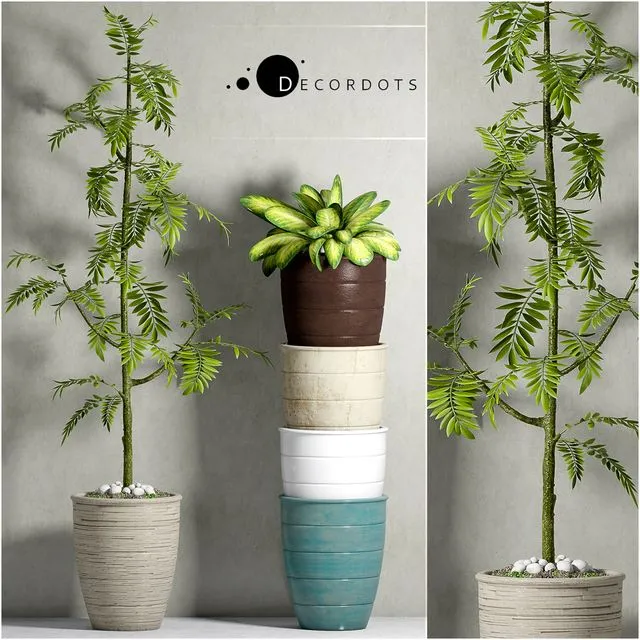 PLANT-41 3D Model
