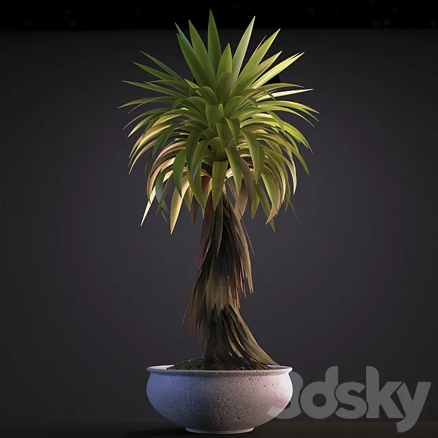 PLANT 5 3D Model