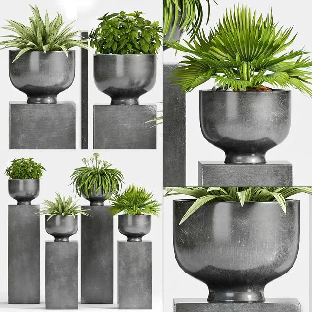 PLANT-54 3D Model
