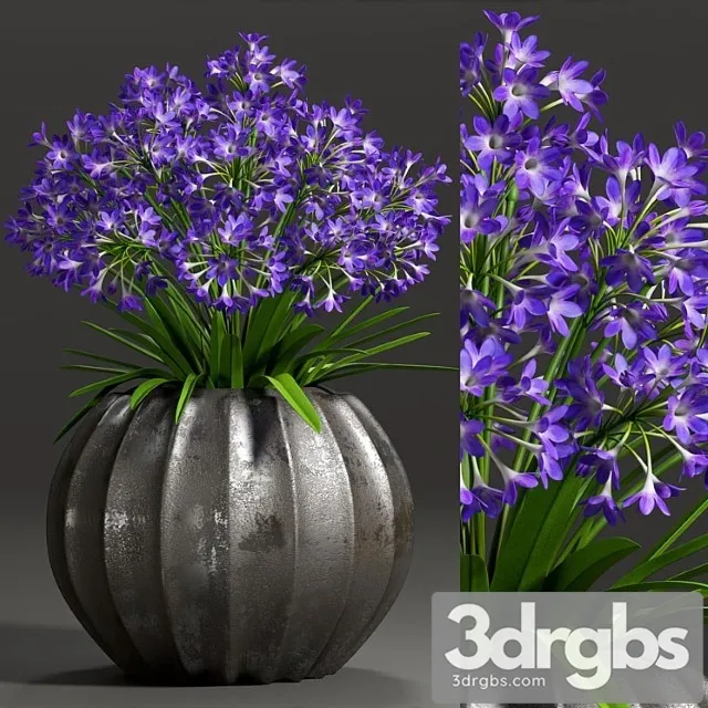 Plant 8 1 3D Model Free