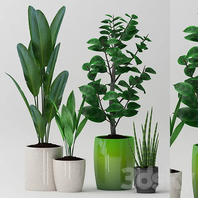 Plant 83 3DModel