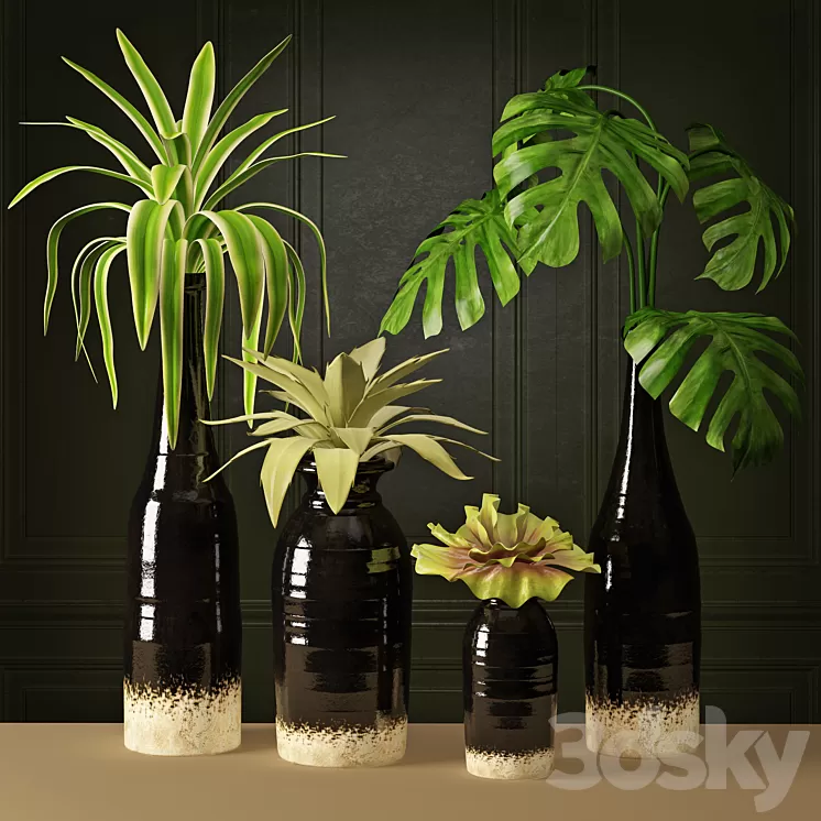 Plant Arrangement 3D Model