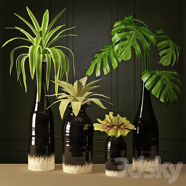 Plant Arrangement 3DModel