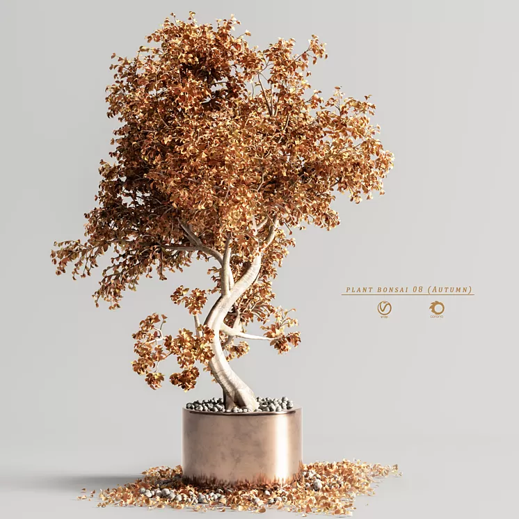 plant bonsai 08 (Autumn)