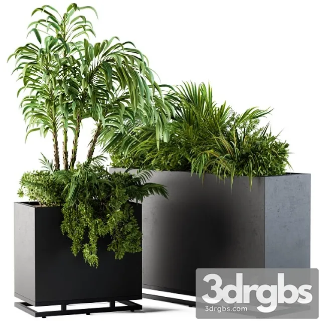Plant Box Metal Compact 04 3D Model Free