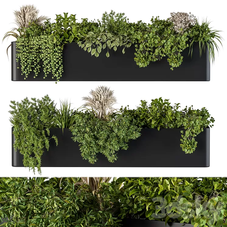 Plant Box on Wall 04 3D Model