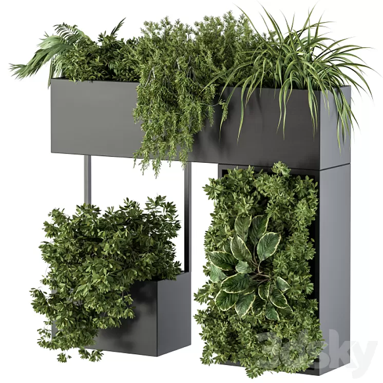 Plant Box on wall - indoor Plants 300 3D Model