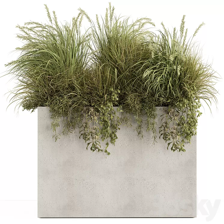 Plant Box - Outdoor Plants 480 3D Model Free