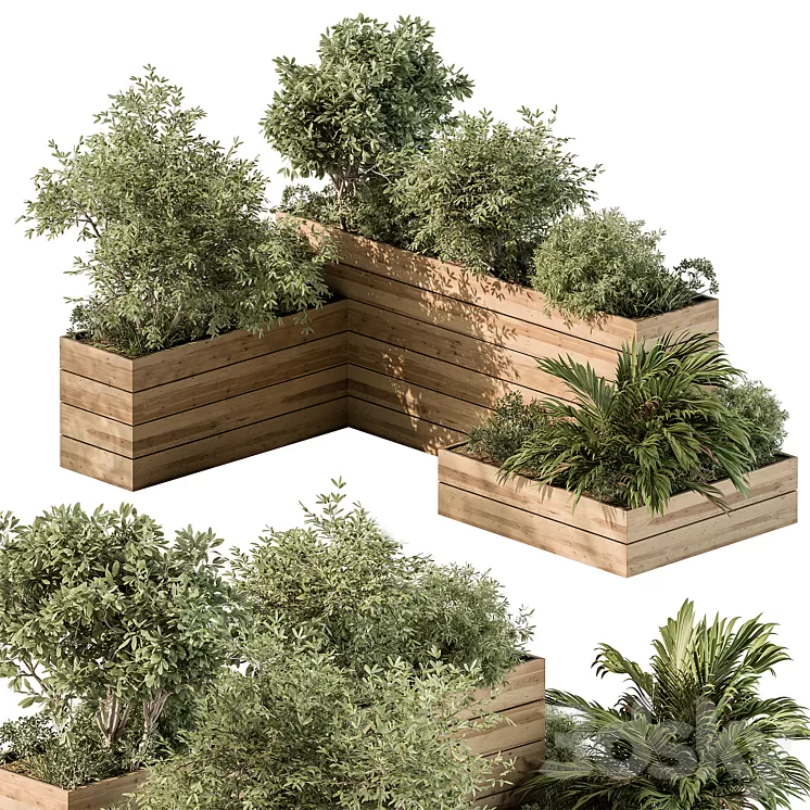 Plant Box - Outdoor Plants 487 3D Model Free