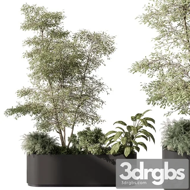 Plant Box Outdoor Plants 515 3D Model Free