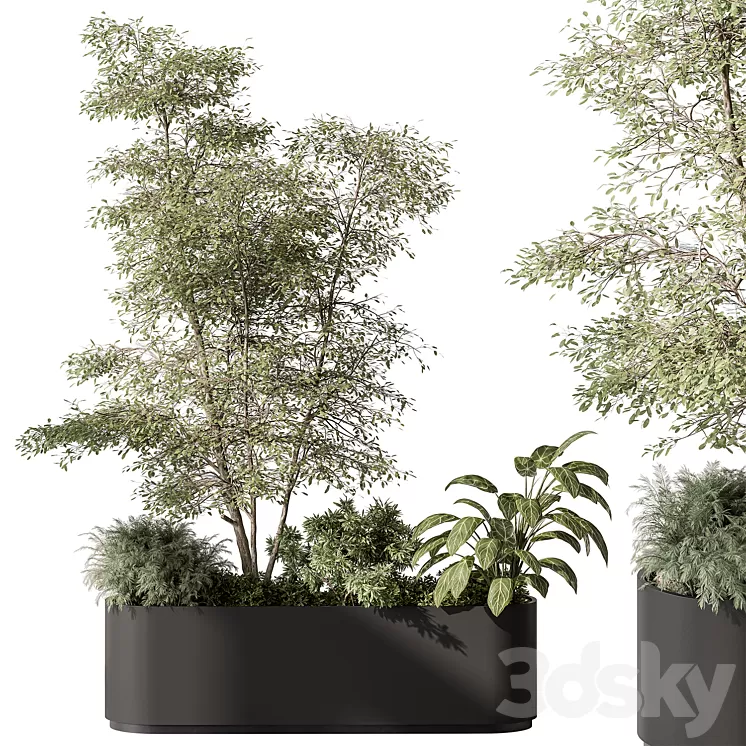 Plant Box - Outdoor Plants 515 3D Model Free
