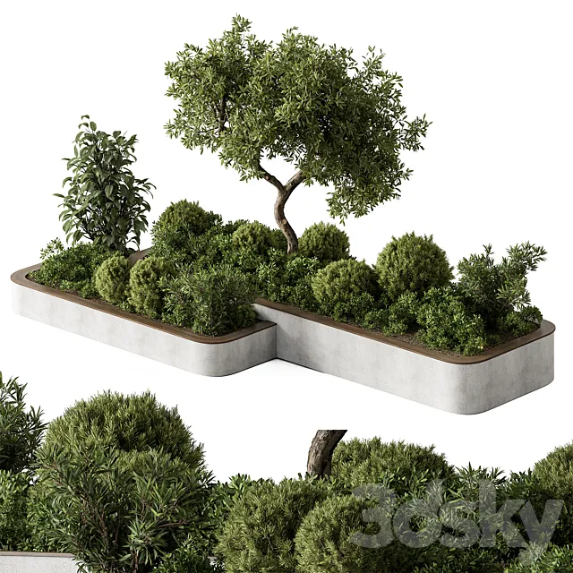 Plant Box - Outdoor Plants 588 3D Model