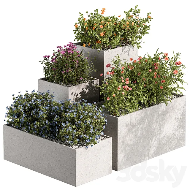 Plant Box - Outdoor Plants Flowers 534 3D Model