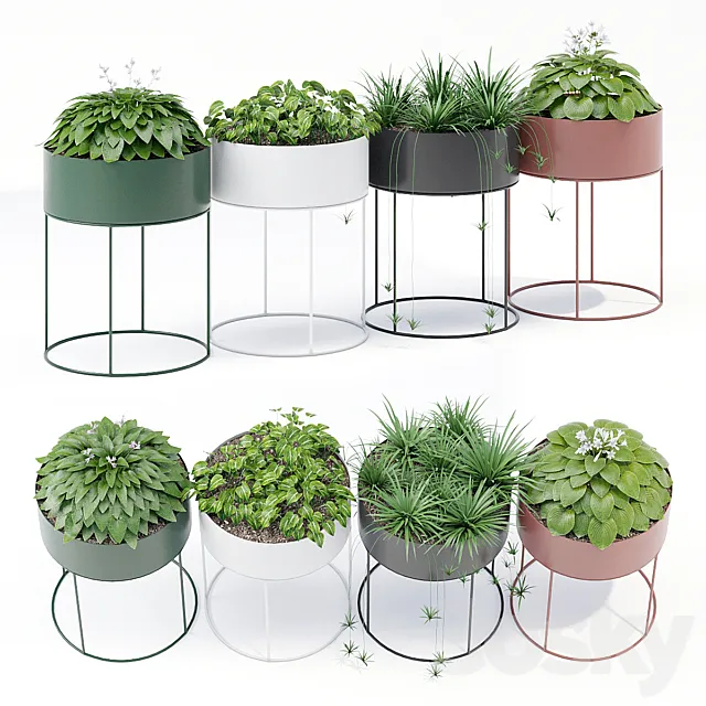 Plant box round Free Download