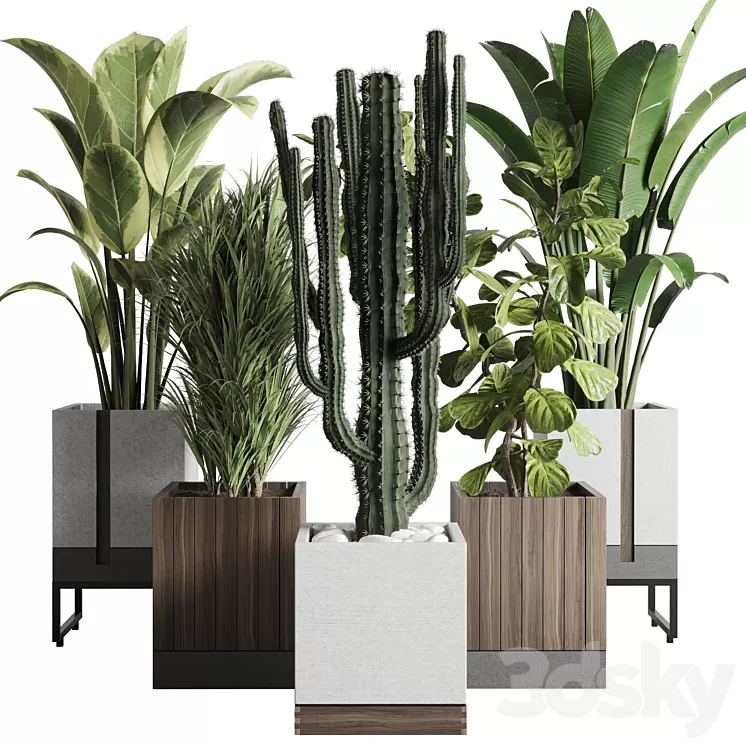 Plant box_Indoor outdoor plant 163 wooden and concrete dirt vase box pot palm cactus Collection 3D Model Free