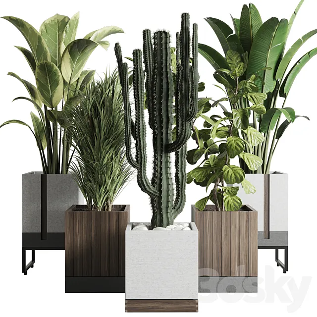 Plant box_Indoor outdoor plant 163 wooden and concrete dirt vase box pot palm cactus Collection 3DModel