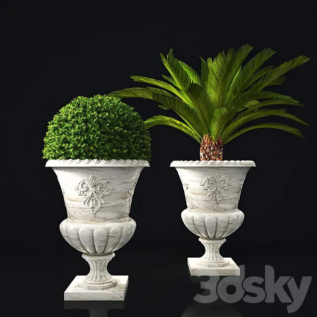 plant collection 05 3D Model