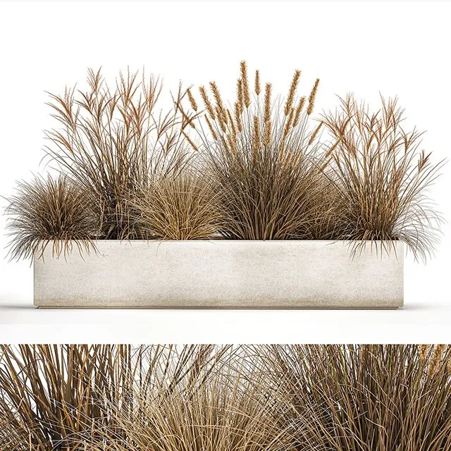 Plant collection 1072 3D Model